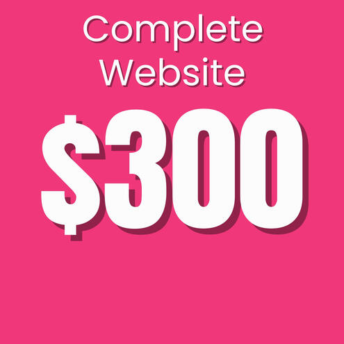 Snappy Sites Website Design $300